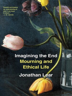 Imagining the End - ebook